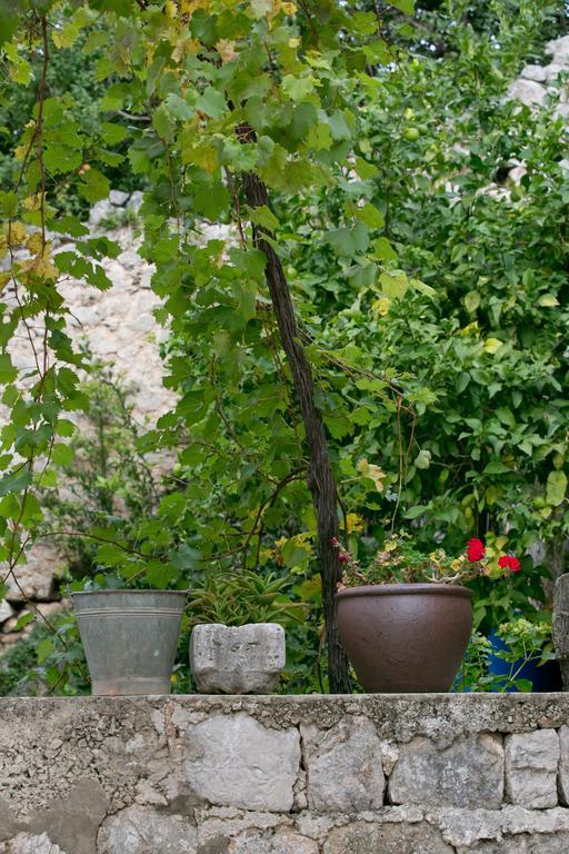 Villa Bona Dubrovnik Eksteriør billede